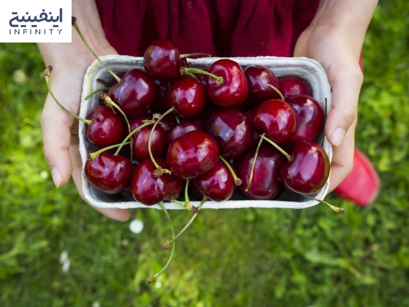 خواص آلبالو برای زنان