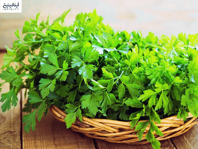 جعفری و فواید مصرف آن