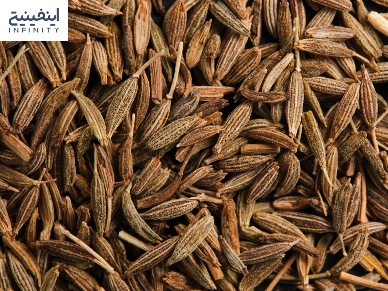 انواع زیره