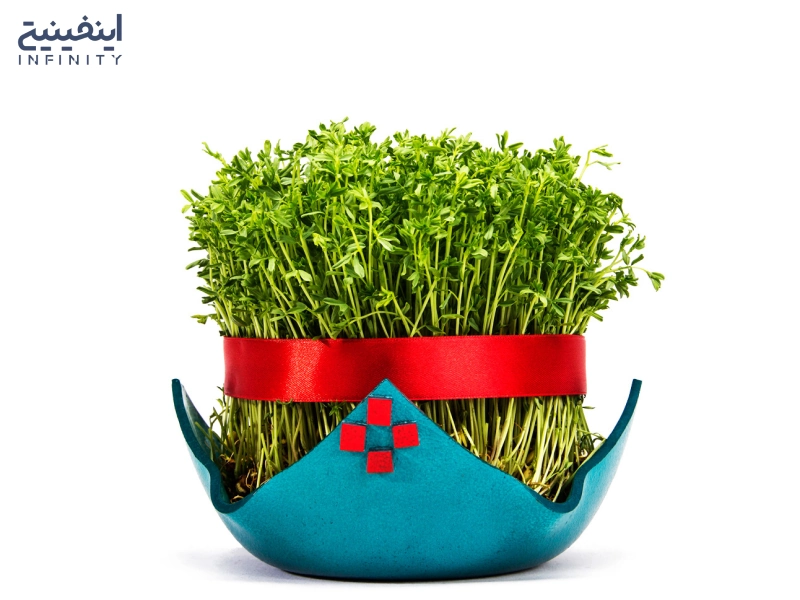 نحوه کاشت سبزه عید