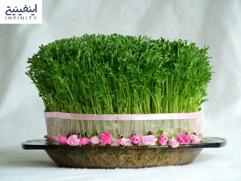 سبز کردن سبزه عید