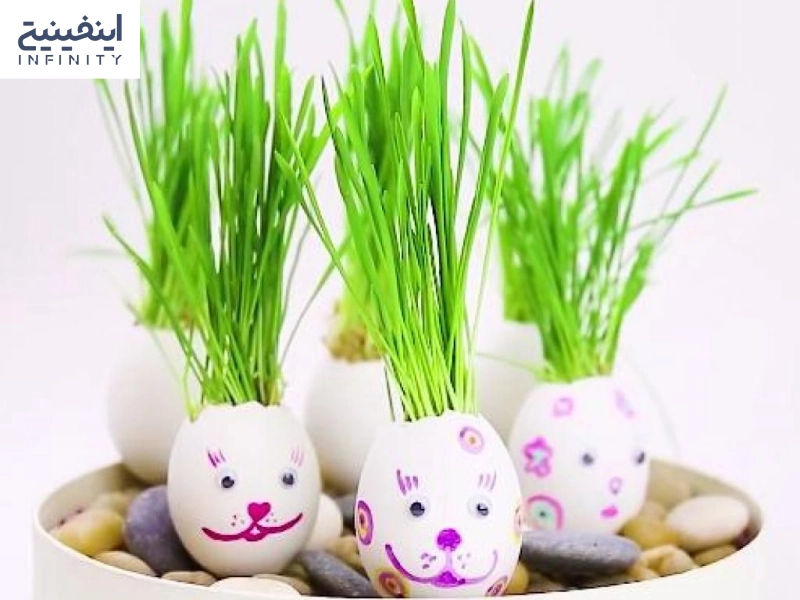 سبزه برنج برای عید